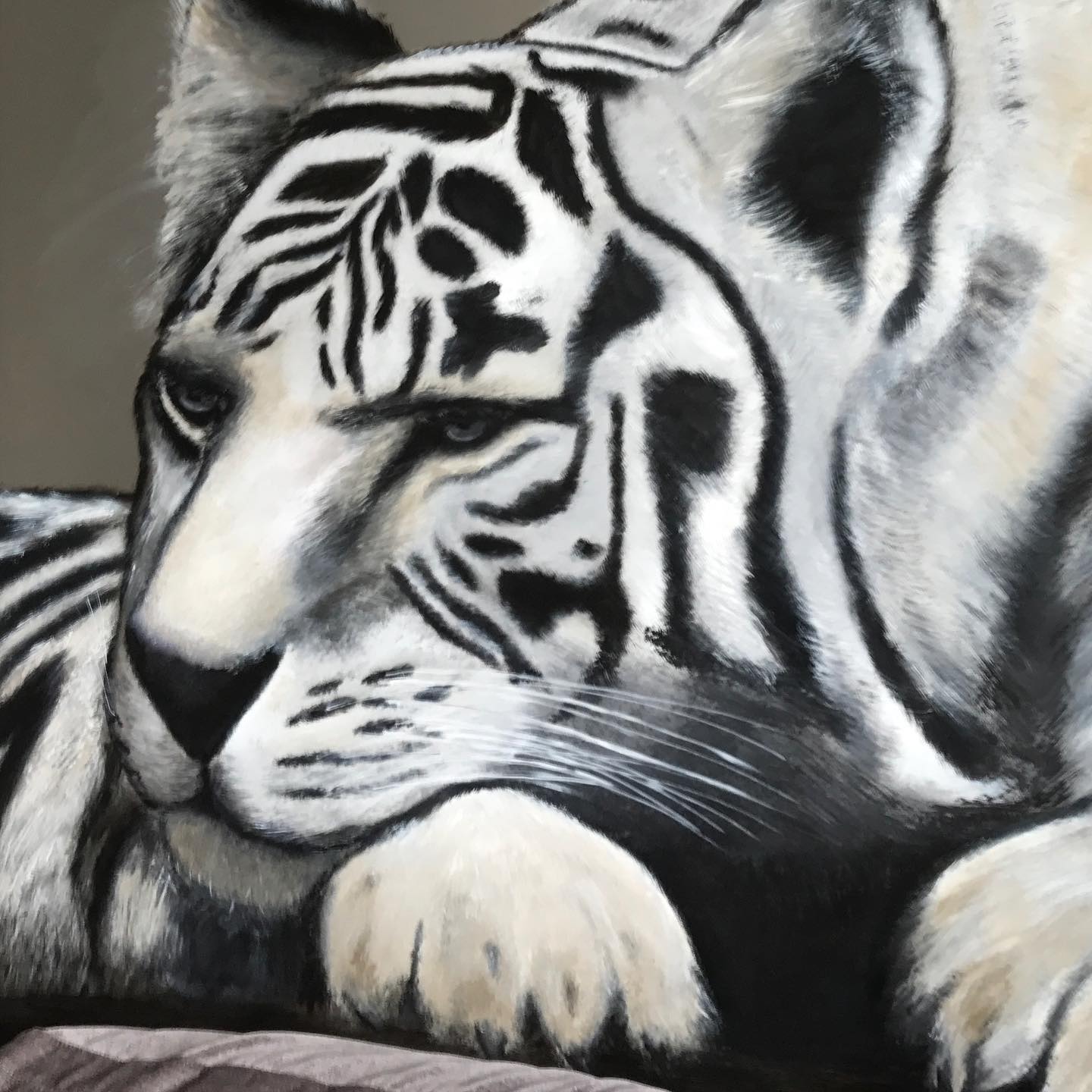 Der weiße Tiger by Ilka Schulz