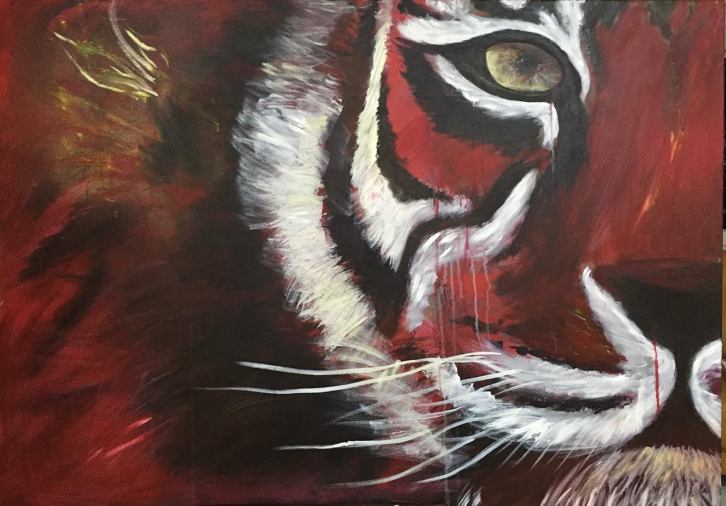 Der rote Tiger by Ilka Schulz